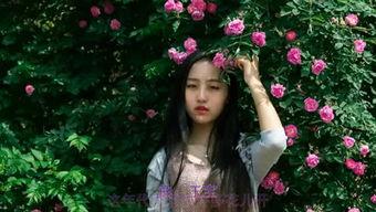 丽江夏微生活照,悠然夏日生活剪影