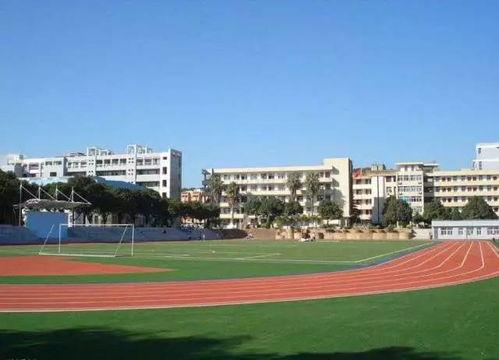 校园内照片,光影中的青春记忆